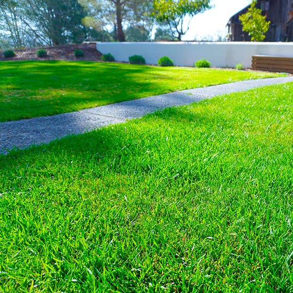 jardinier-paysagiste-creation-amenagement-jardin-thuir-millas-66