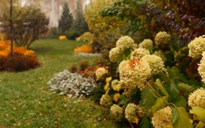 Les travaux au jardin et l’aménagement paysager en décembre