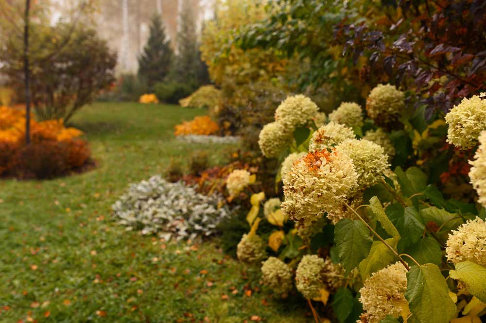 Les travaux au jardin et l’aménagement paysager en décembre
